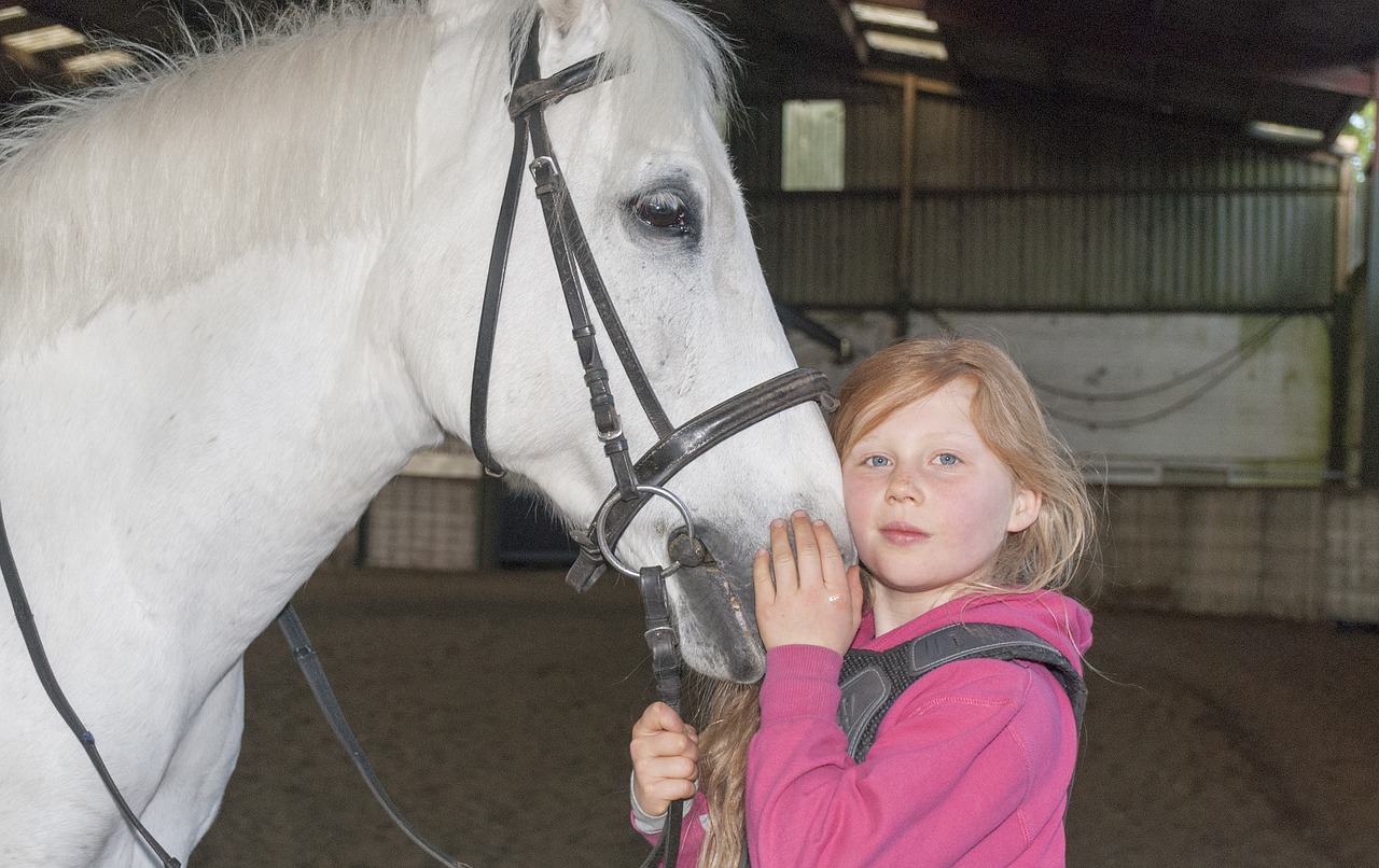 Equestrian centre